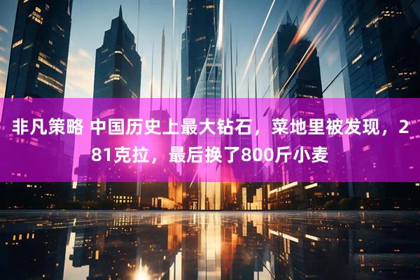 非凡策略 中国历史上最大钻石，菜地里被发现，281克拉，最后换了800斤小麦