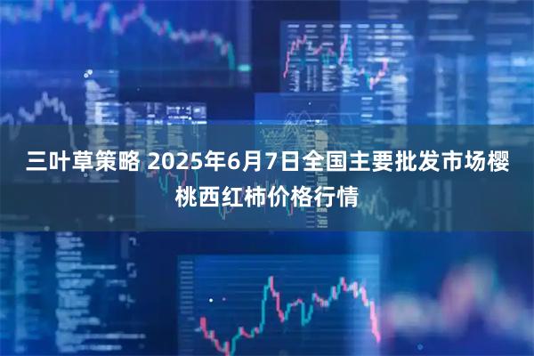 三叶草策略 2025年6月7日全国主要批发市场樱桃西红柿价格行情