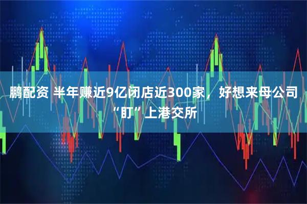 鹏配资 半年赚近9亿闭店近300家,好想来母公司“盯”上港交所