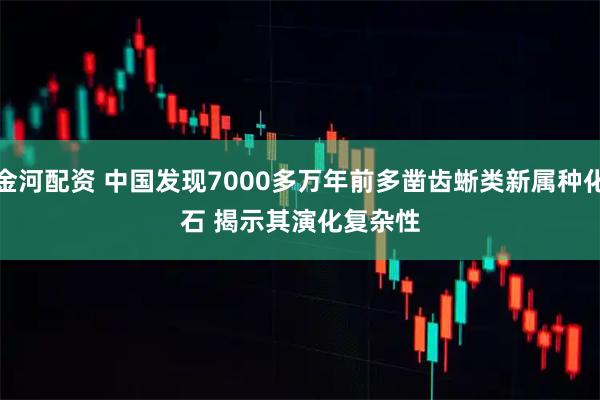金河配资 中国发现7000多万年前多凿齿蜥类新属种化石 揭示其演化复杂性