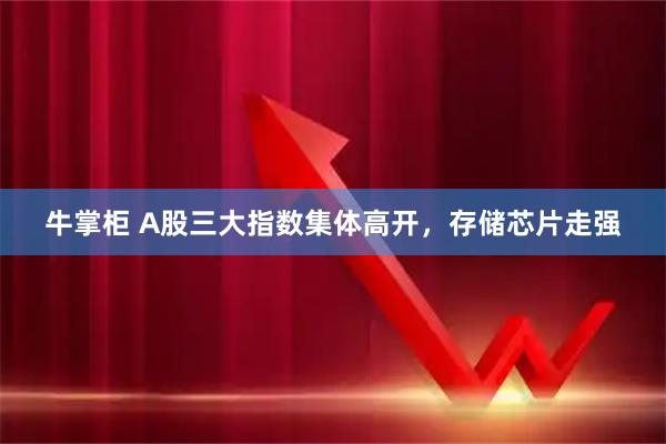 牛掌柜 A股三大指数集体高开，存储芯片走强